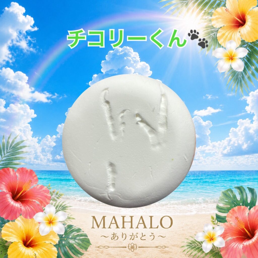 MAHALOにて対応させて頂いたオカメインコちゃんの足型
