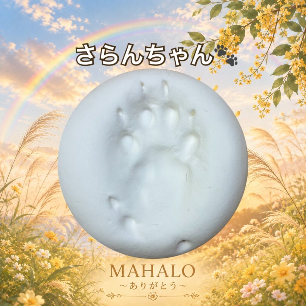 MAHALOにてペット火葬のご対応をした猫の足型