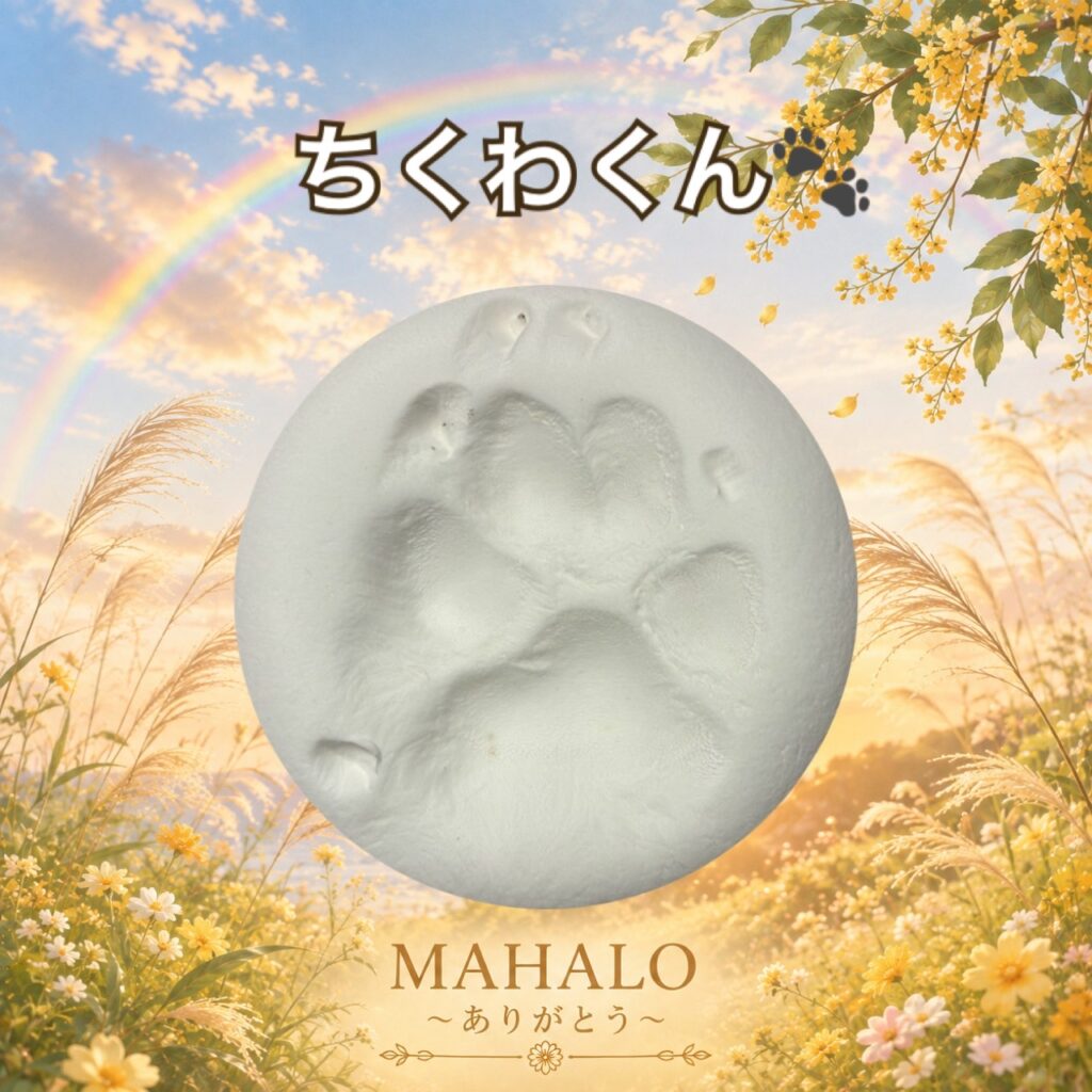 MAHALOにてペット火葬のご対応をしたスコティッシュテリアの足型