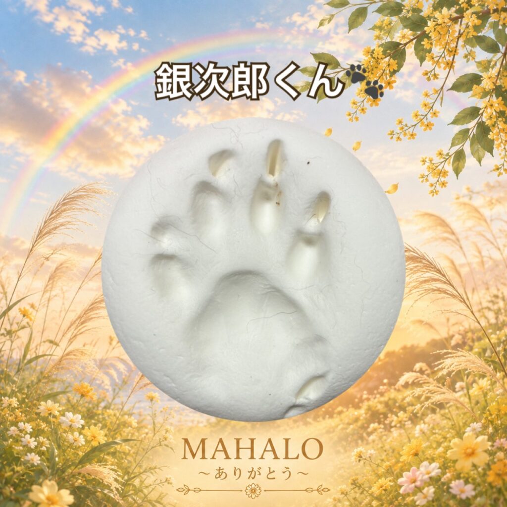 MAHALOにてペット火葬のご対応をした猫の足型