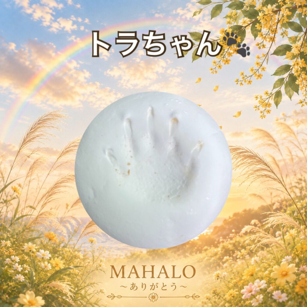 MAHALOにてペット火葬のご対応をしたチズガメの足型