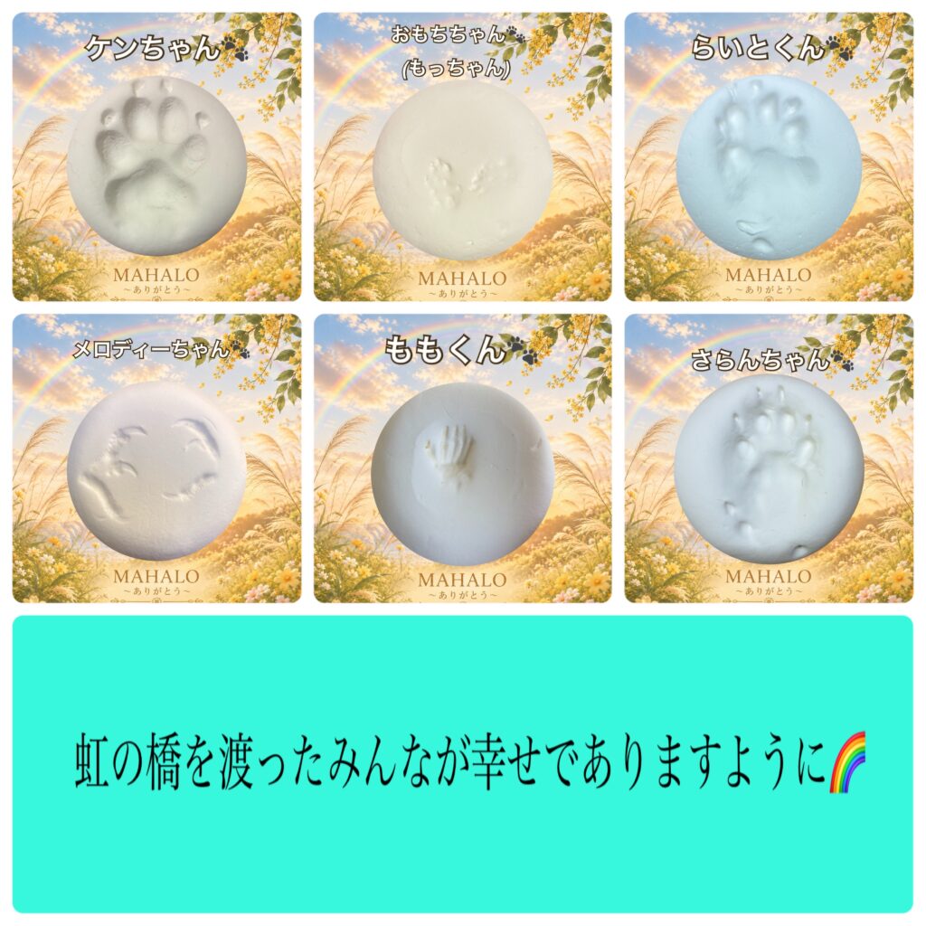 MAHALOにて対応させて頂いたペットちゃんの足型