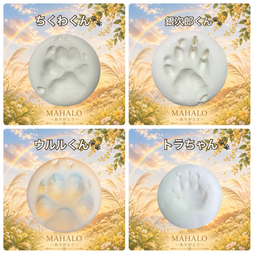 MAHALOにて対応させて頂いたペットちゃんの足型